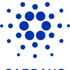 DEW · Dew Staking Solutions logo