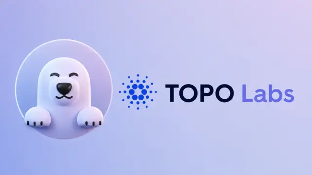 TOPO⚡ · TOPO Pool